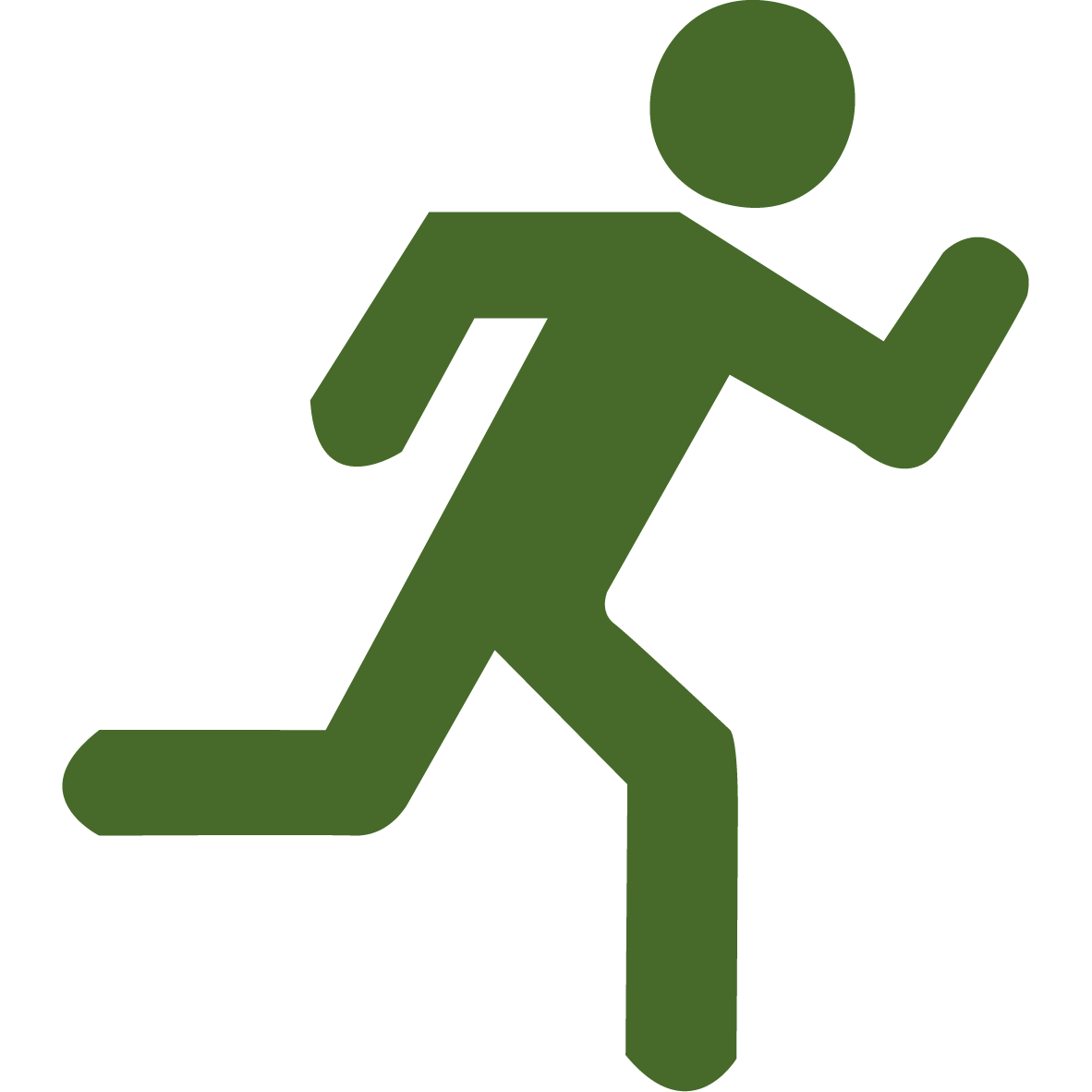 Icon representing speed.